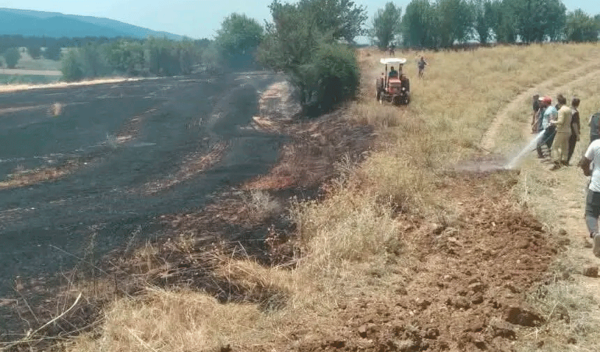 Kastamonu’da tarlada çıkan örtü yangını söndürüldü