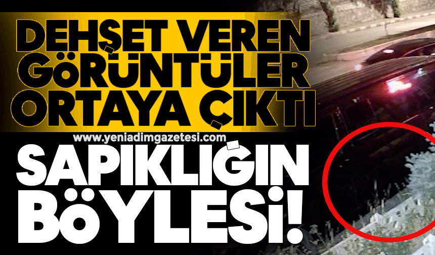 Dehşet veren görüntüler ortaya çıktı! Sapıklığın böylesi!