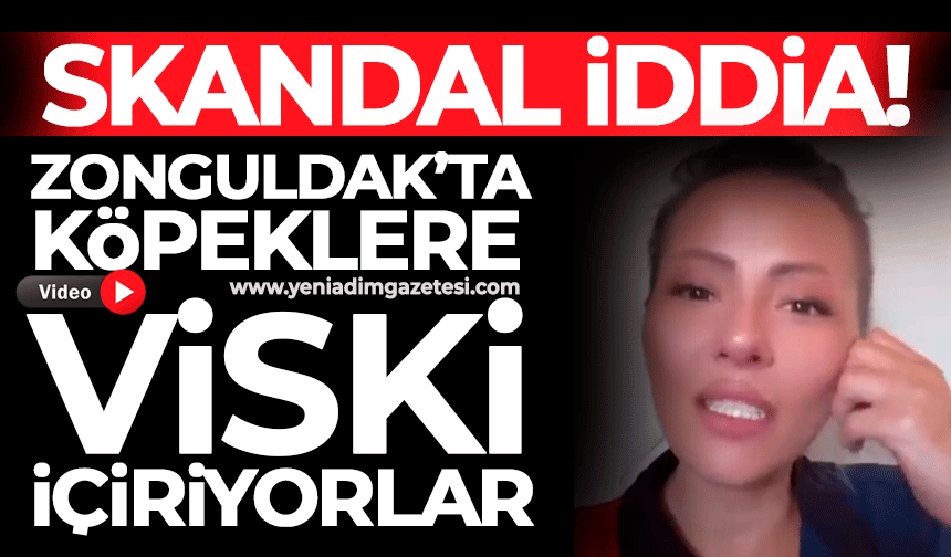 Skandal iddia! Zonguldak’ta köpeklere viski içiriyorlar