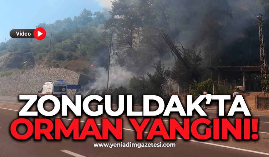 Zonguldak’ta orman yangını!