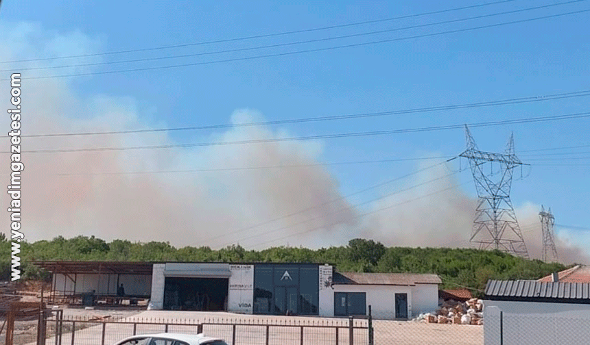 Kocaeli’de ormanlık alanda yangın çıktı