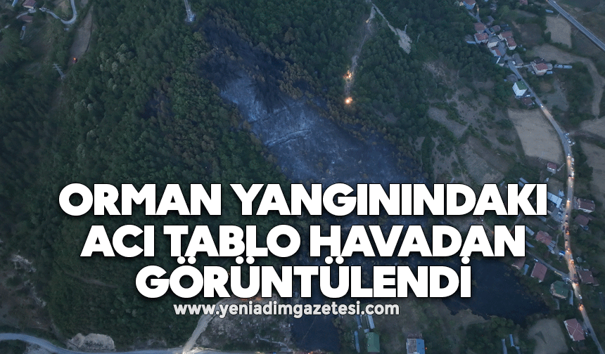 Orman yangınındaki acı tablo havadan görüntülendi