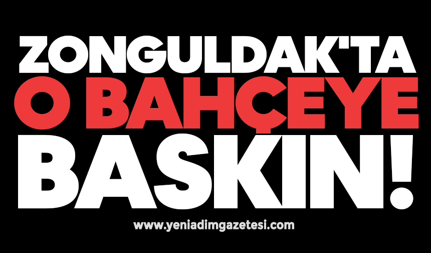 Zonguldak'ta o bahçeye baskın!