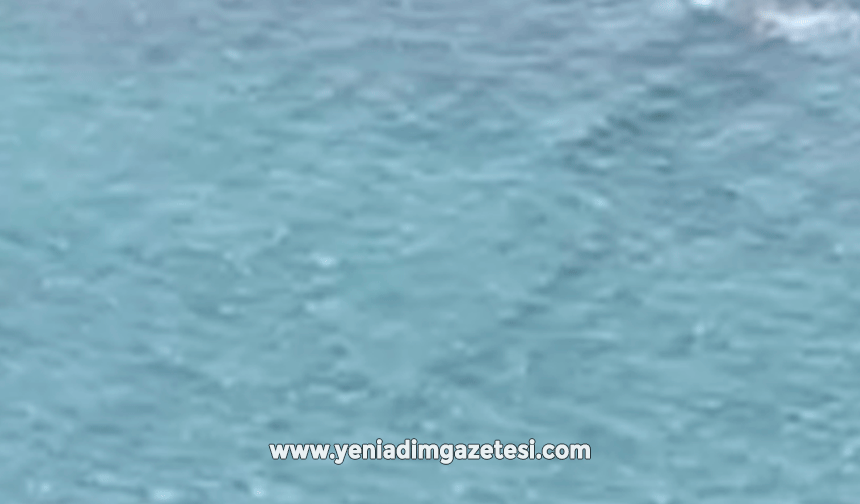 Boğulmak üzereyken son anda kurtarıldı: O anlar kamerada