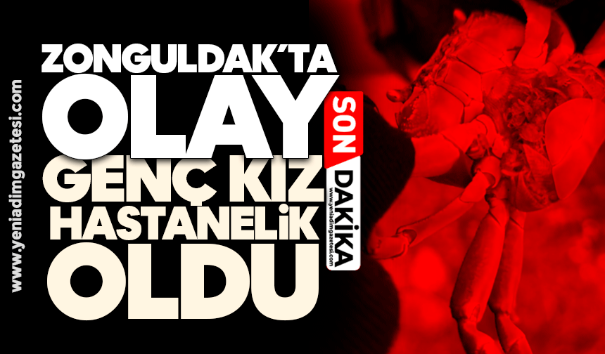 Zonguldak'ta olay: Genç kız hastanelik oldu