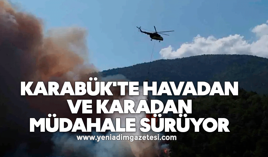 Karabük'te havadan ve karadan müdahale sürüyor