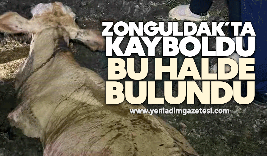 Zonguldak’ta kayboldu, bu halde bulundu