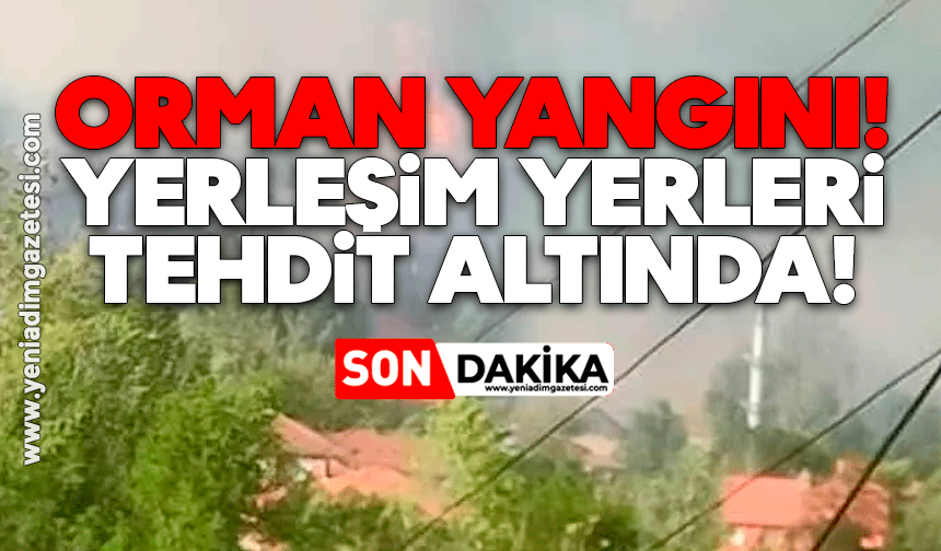Orman yangını: Alevler rüzgarın etkisiyle yerleşim yerini tehdit ediyor
