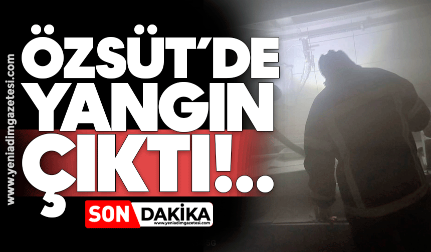 Özsüt'te yangın!