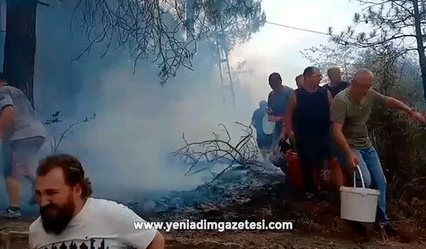 Mahalleli birlik oldu, orman yangınına kovalarla müdahale etti