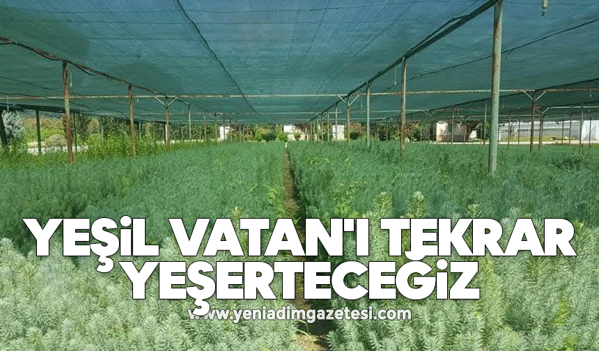 Yeşil Vatan'ı tekrar yeşerteceğiz