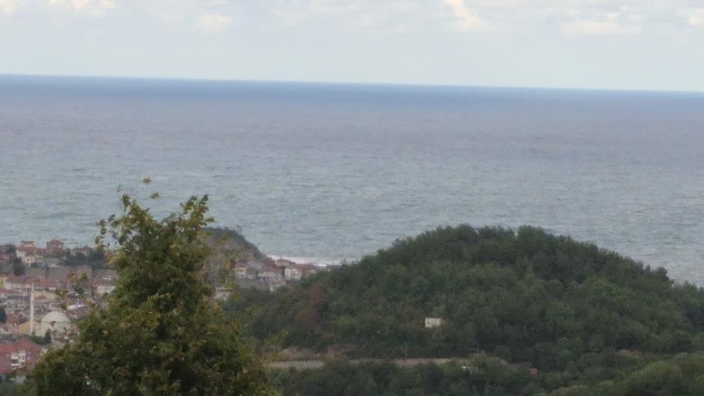 A W541715 02