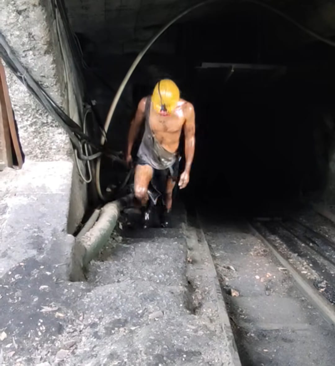 6F054651 Bfd8 45A0 Bc03 Ea1187753Da2