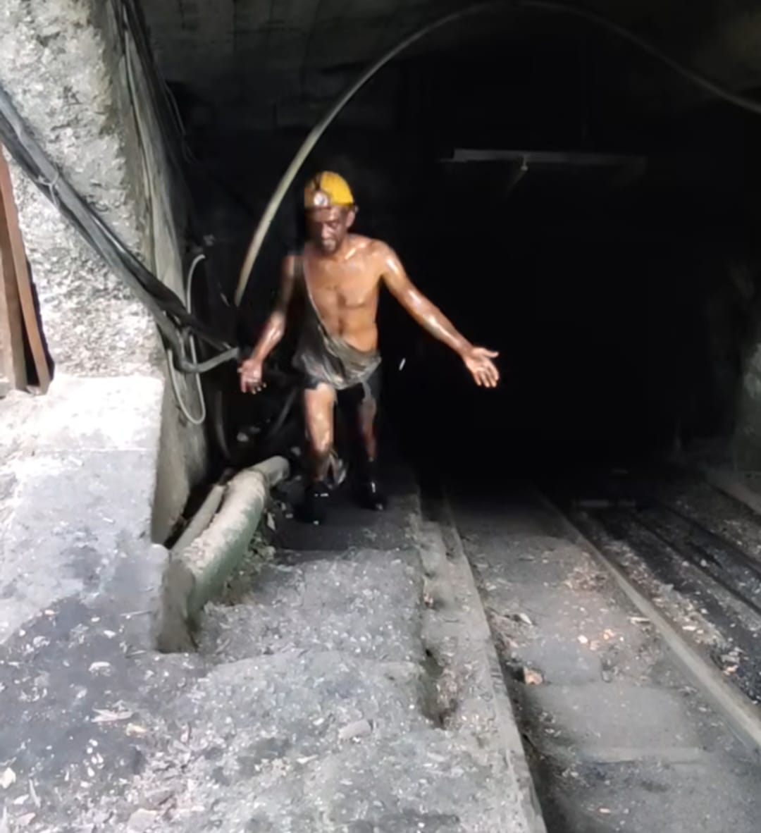 F4Bf71D1 294D 4C7E B447 80Ce980Dbda1