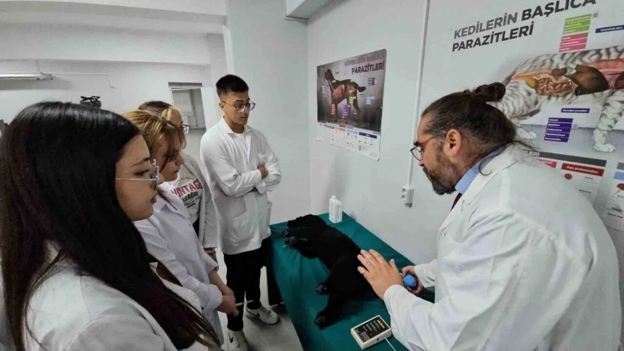Turkiyede Bir Ilk Meslek Yuksekokulunda Veteriner Saglik Egitimi Simulatorlerle Veriliyor 20251003 A W550826