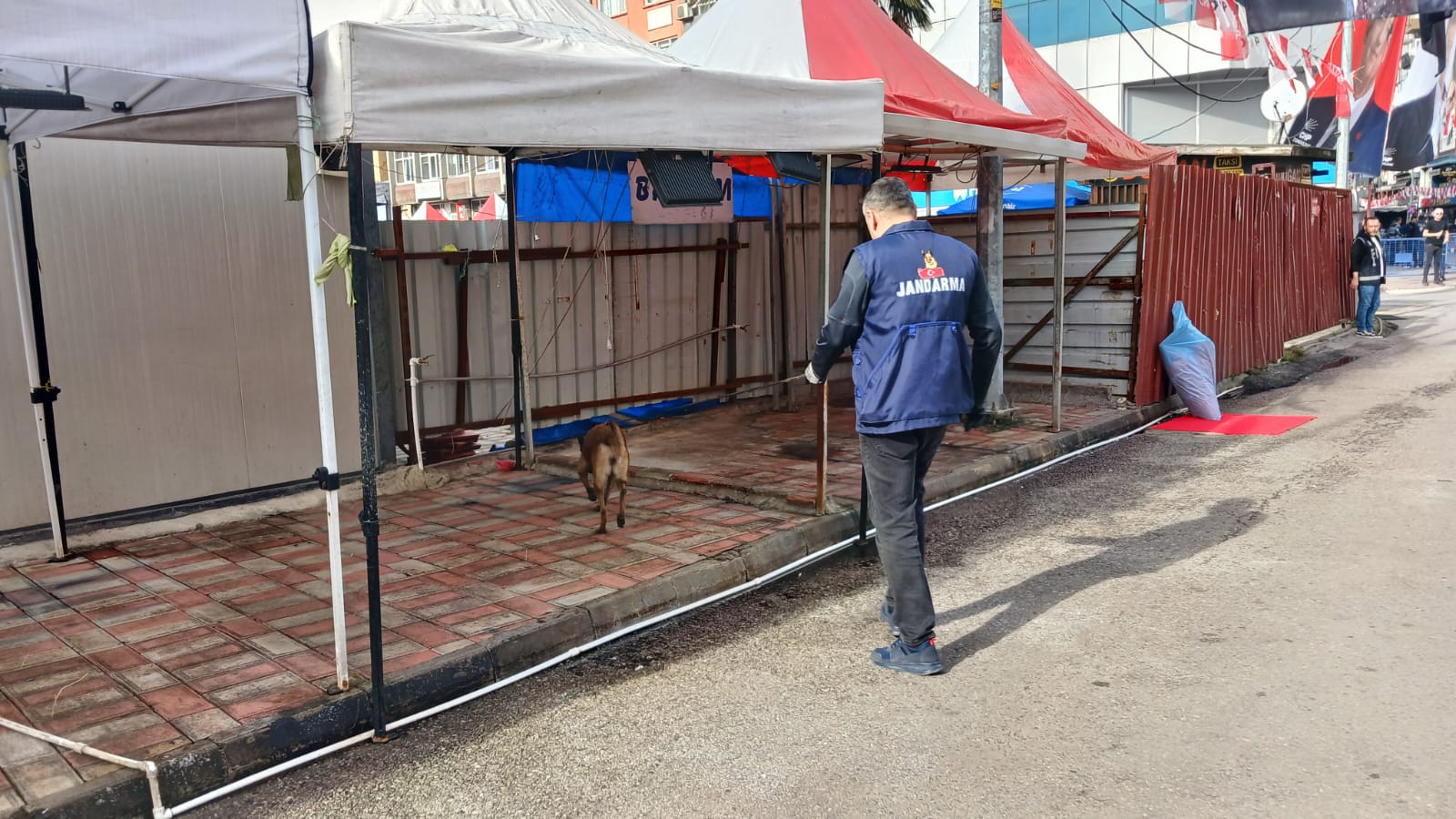 09Db054D 2510 4985 Bbba D5C4A60Dd4Ef