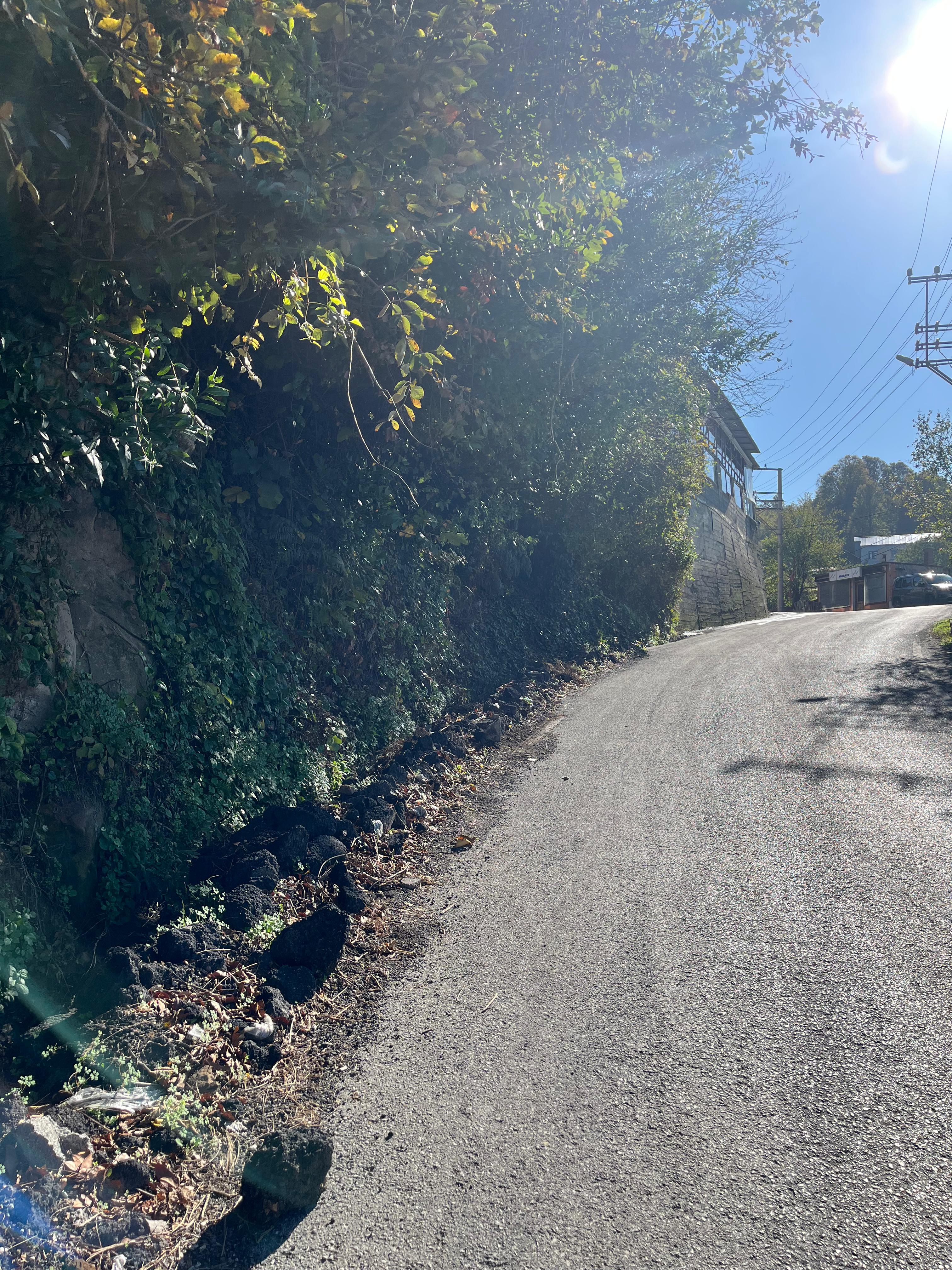 23Aab274 6142 47F8 92Da C61C70572Ca3