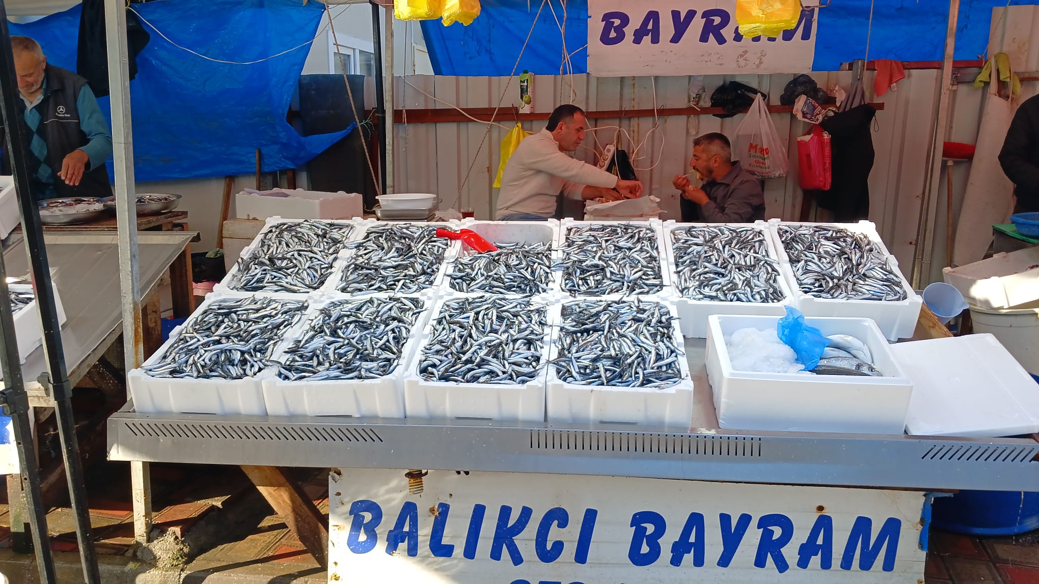 4158E6Fe 66D4 47Ae 811B Bdec50C46C14