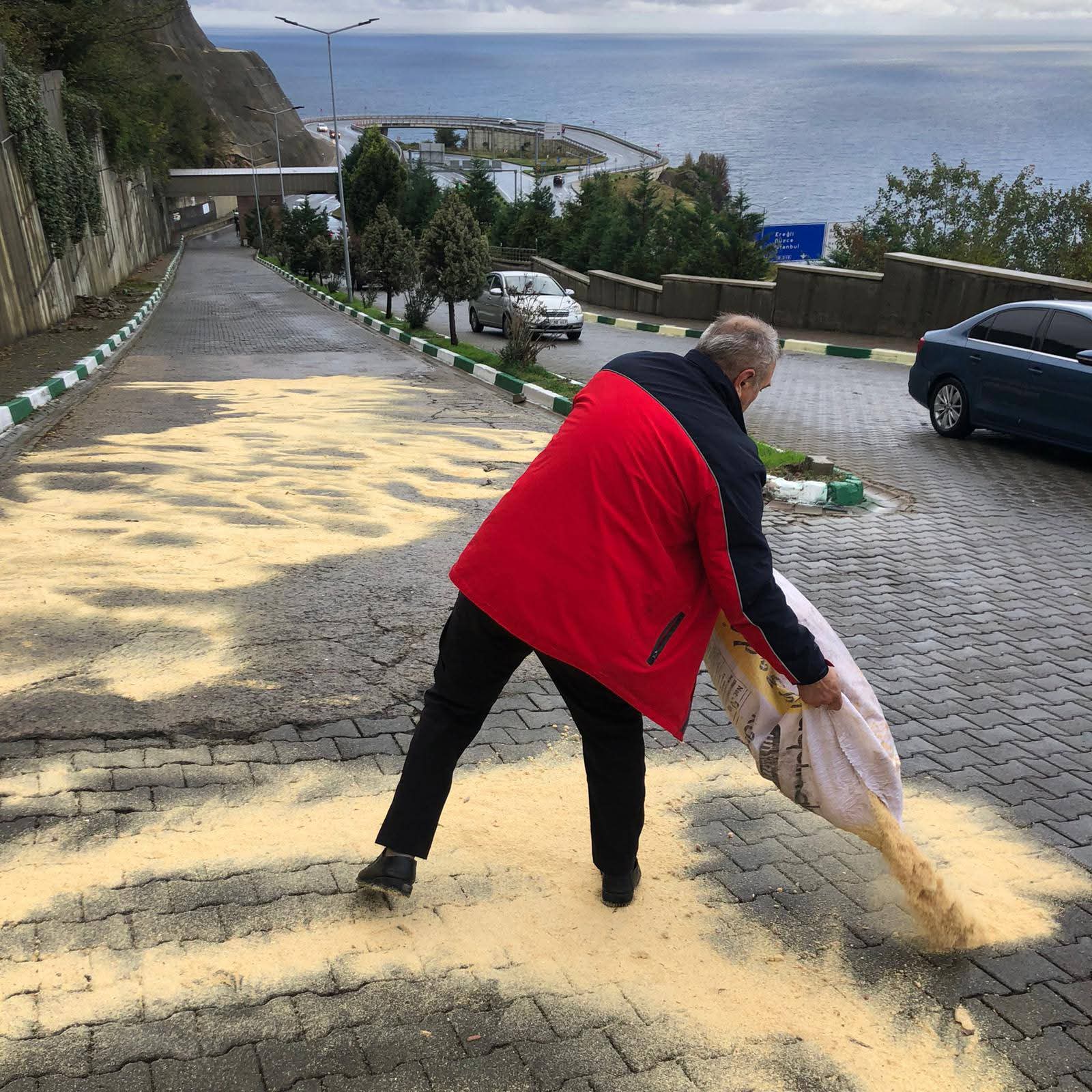 993E86Ae 1Cd4 4387 B6Ec 2A3F67Ee74A5