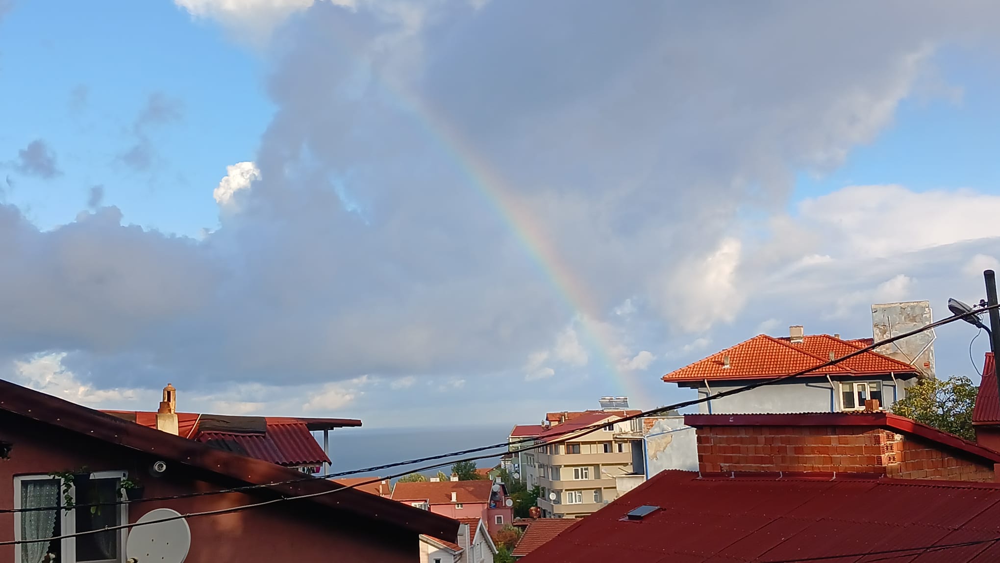 D542F4F4 2541 412B 91Cc D7F5F0Ceeb88