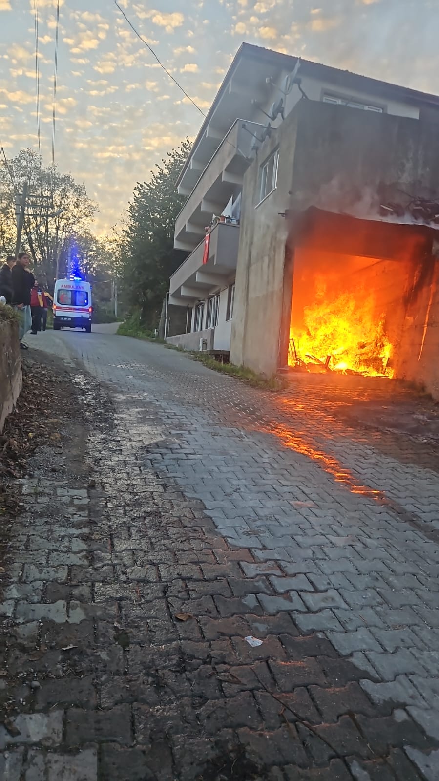 D6C2C749 704D 4660 A3Fe 8D55118Fa58C