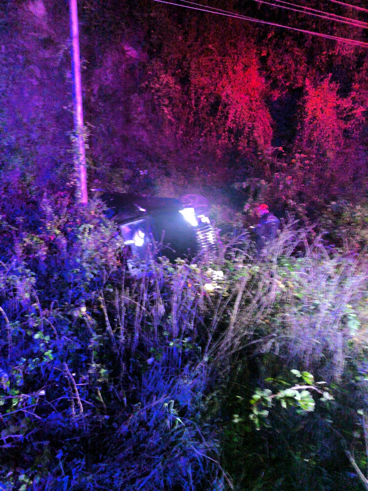 1Cf81798 16B3 4A88 Bce3 Face3124145B