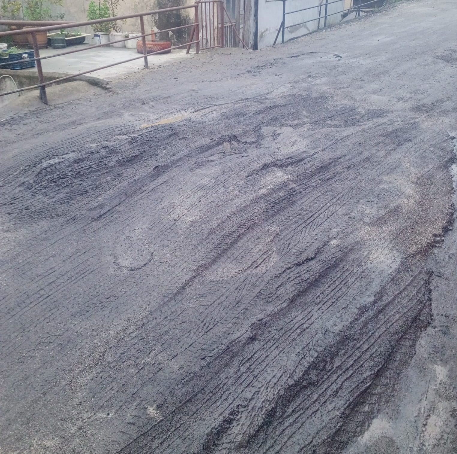 1Cfefa4A 3Af3 4849 Ae6A C87F42A2198F