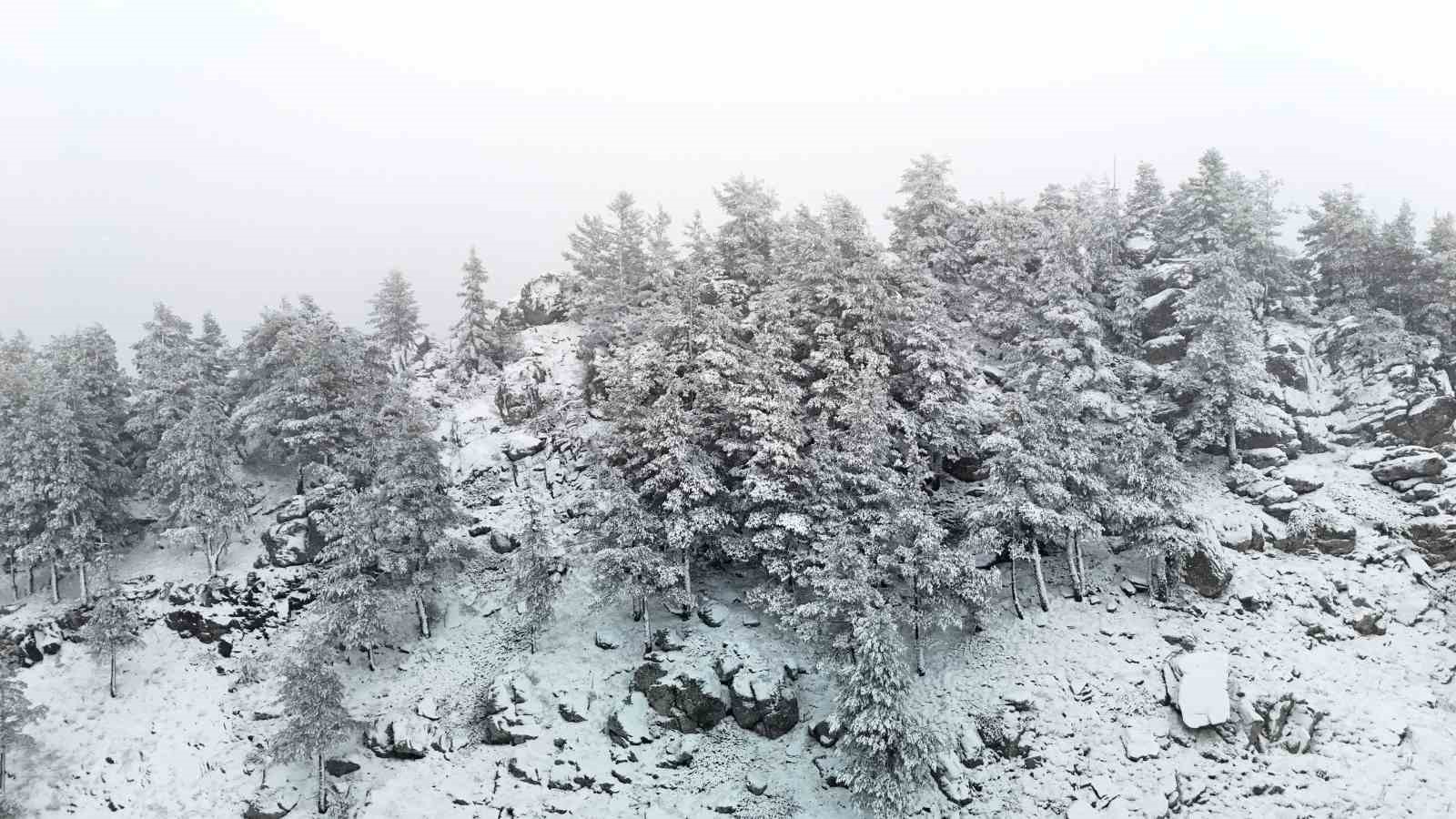 20251208 A W595151 01