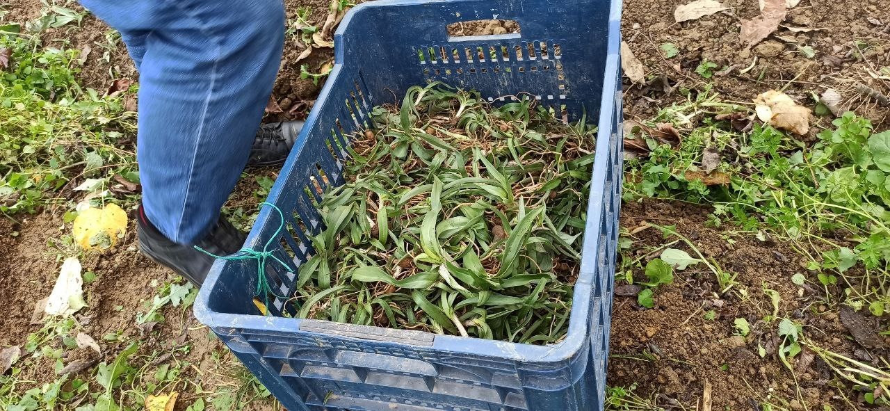 20251213 A W598564 03