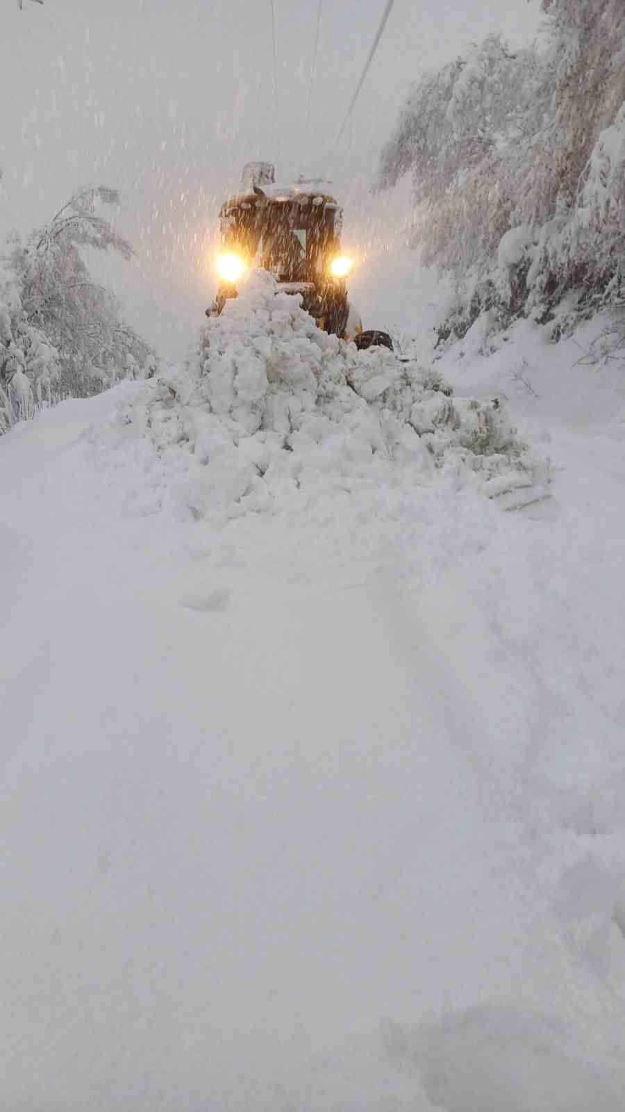 20251231 A W610452 01