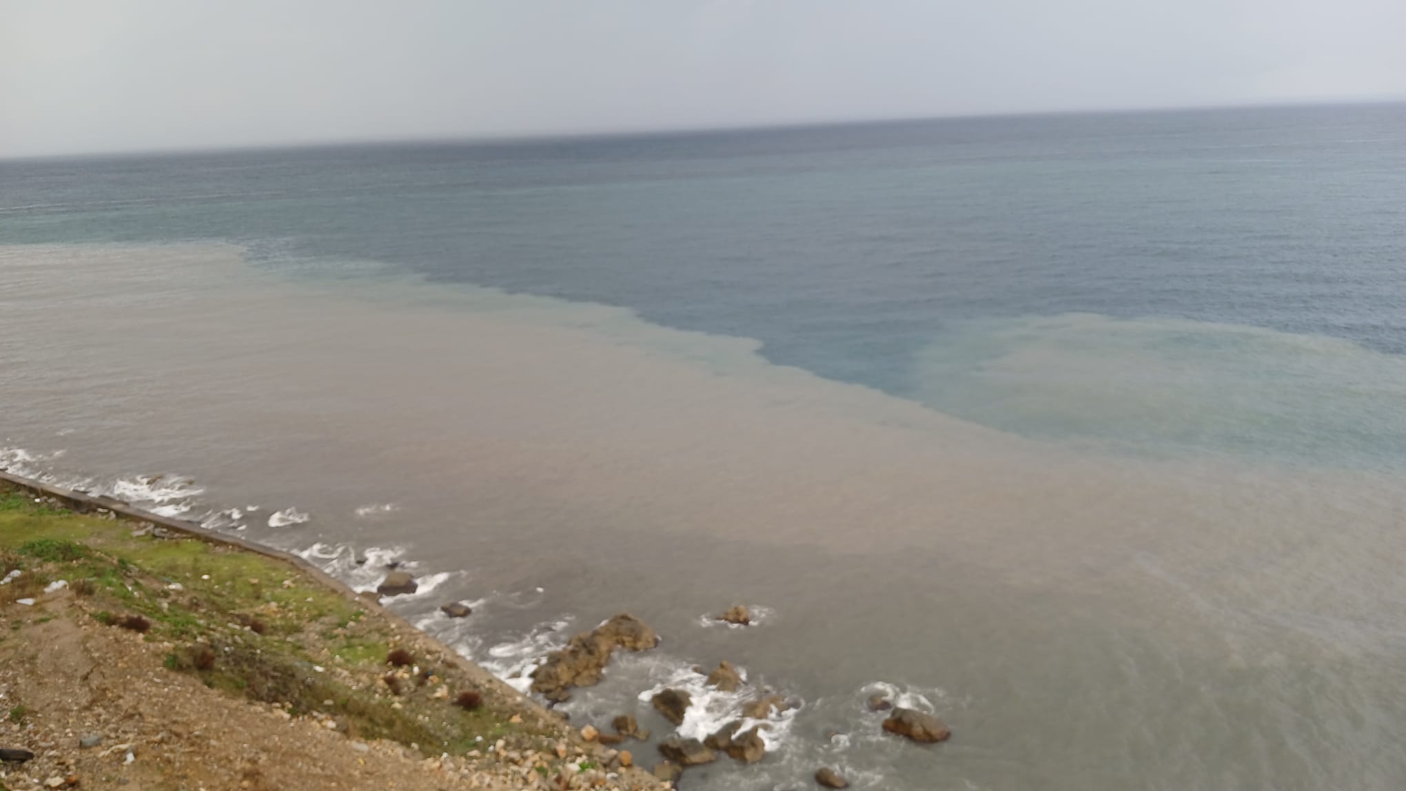 29Bace34 5C5A 46D8 9F68 87480654Ac92