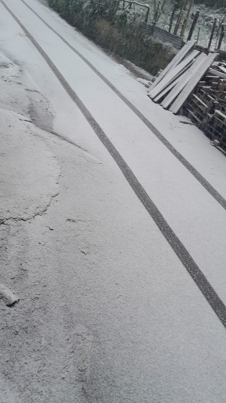 774Dbfb8 C93B 47B9 A161 C09Cbd187671