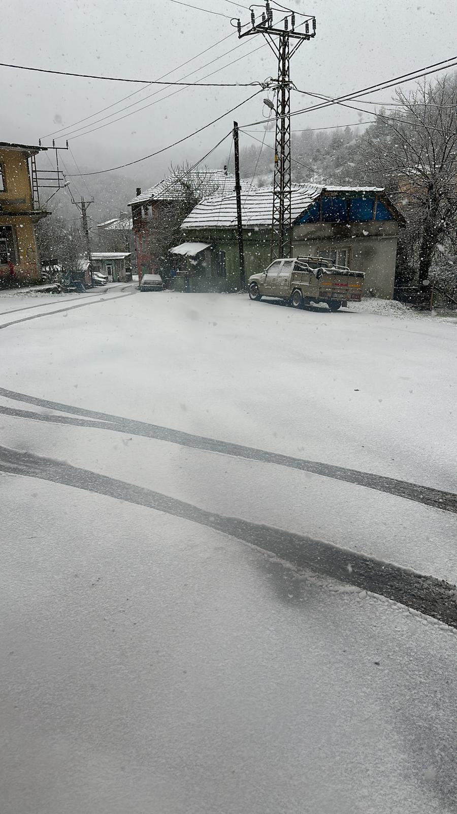 8B350Cc9 4A9A 43F0 8Ade 06Ecf420D635