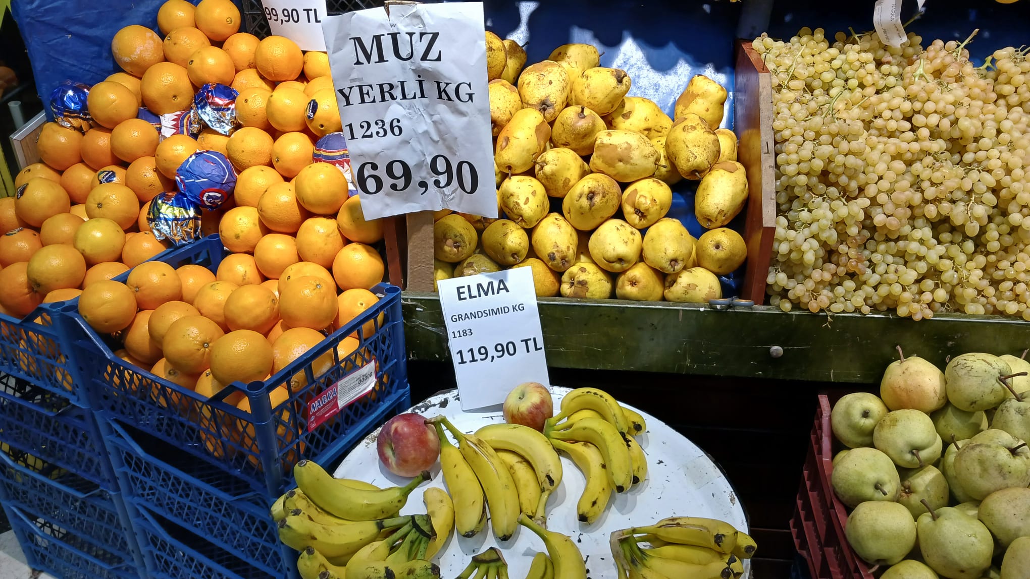 Ae090016 Fea7 479D B10F 4A7Efac1B0C8