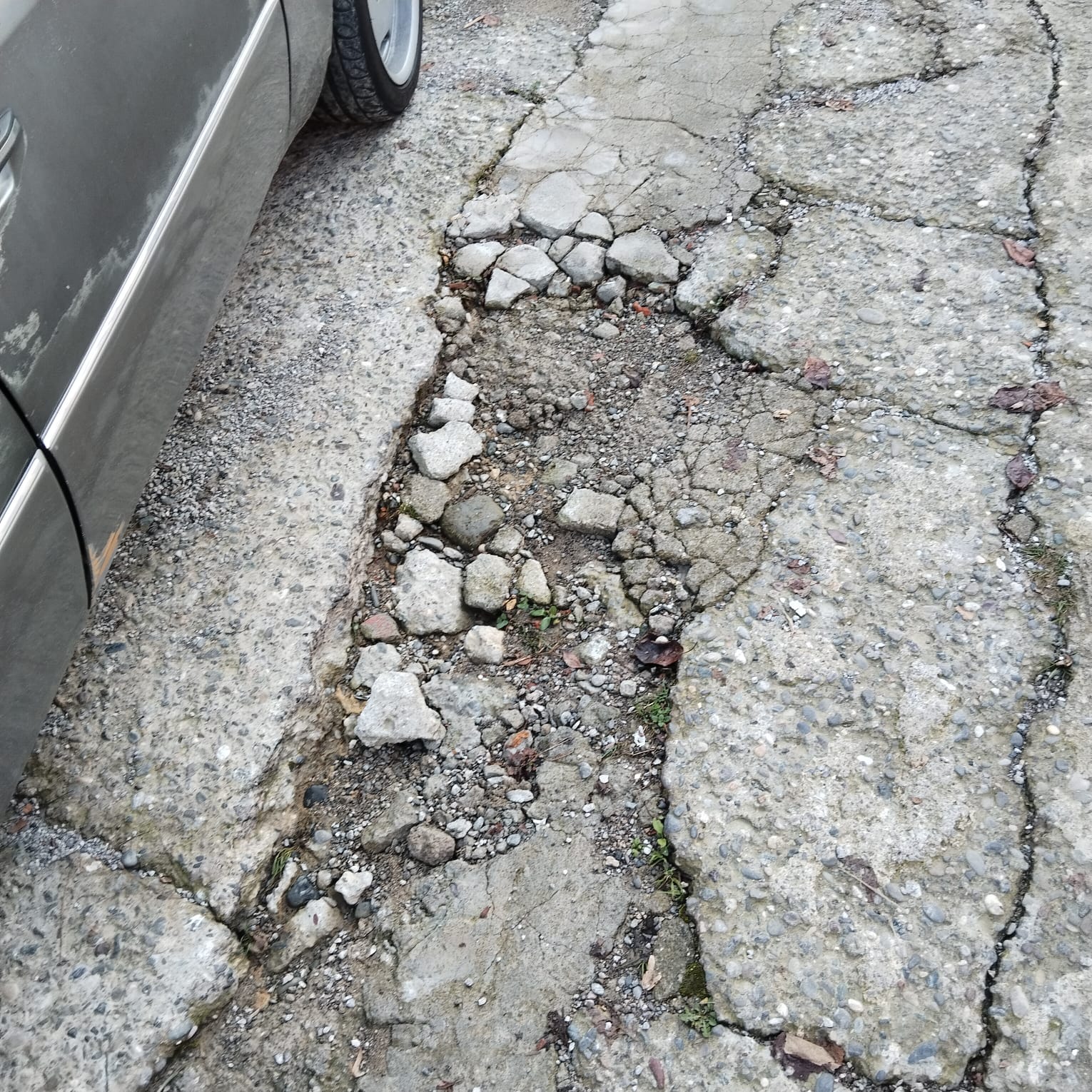 D9977D9C 7Cc7 4C1D Bee4 18924Aa14586