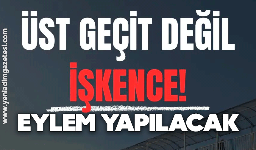 Demokrasi Platformu'ndan 'üst geçit' eylemi