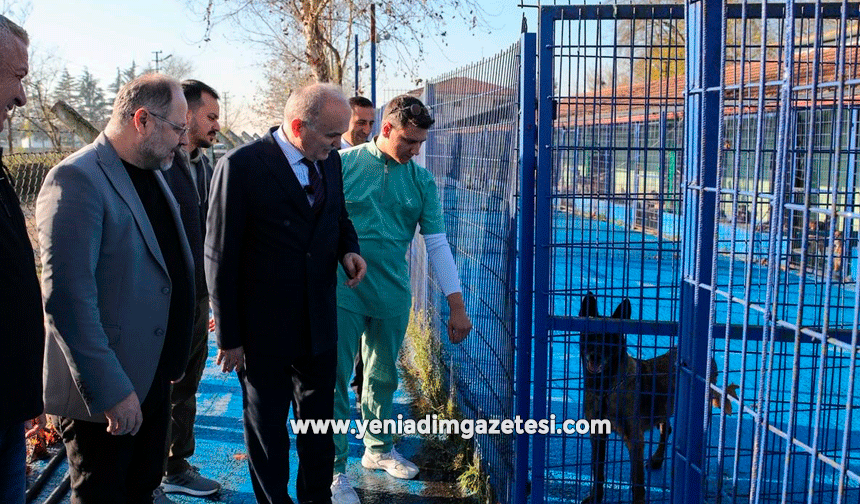 Başkan Özlü sahada: 23 Nisan Parkı Kütüphanesi açılışa hazır