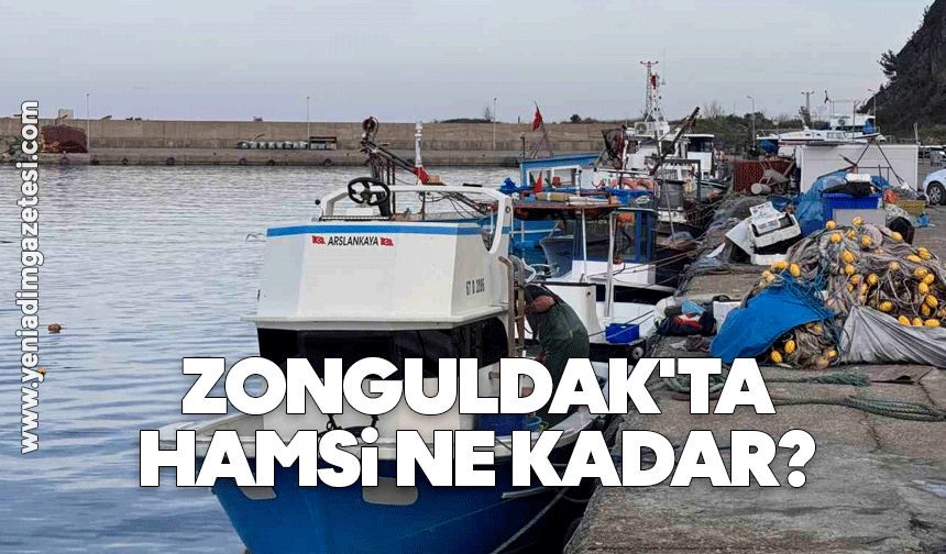 Zonguldak'ta hamsi ne kadar?