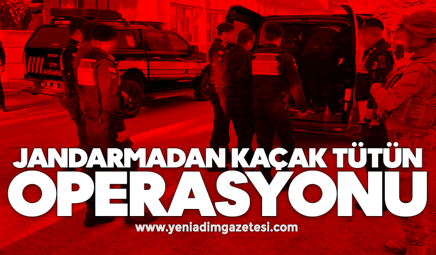 Jandarmadan kaçak tütün operasyonu