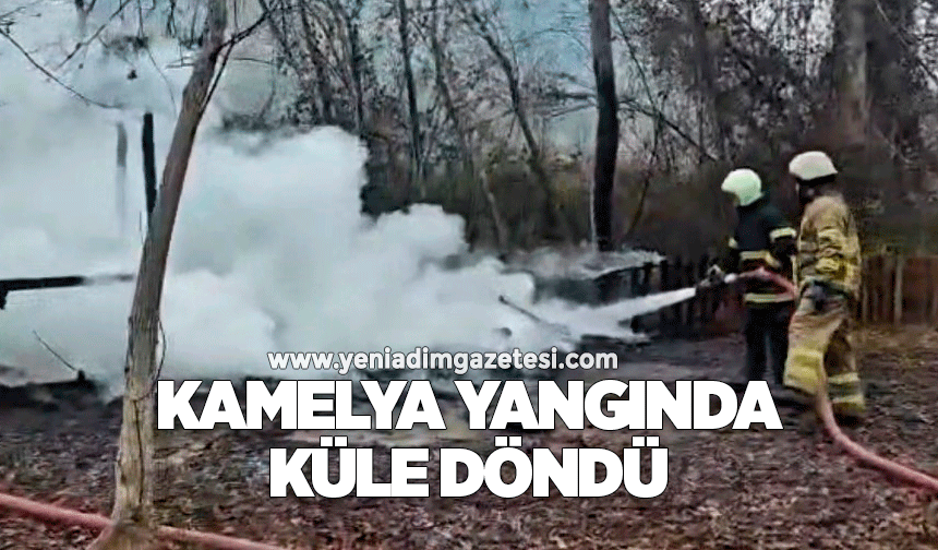 Kamelya yangında küle döndü