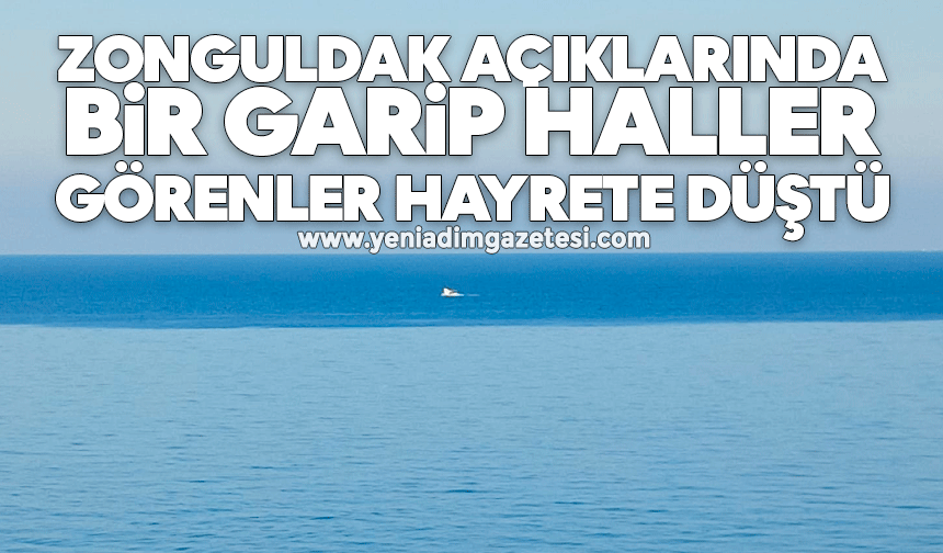 Zonguldak açıklarında bir garip haller: Görenler hayrete düştü
