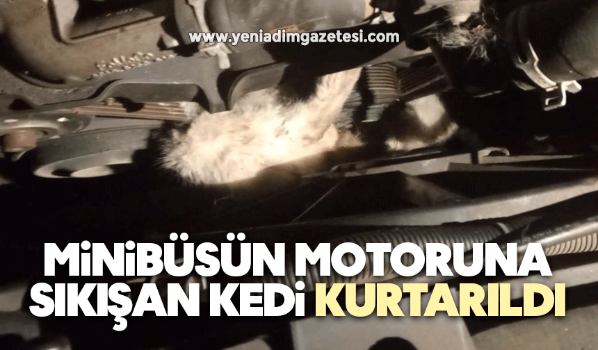 Minibüsün motoruna sıkışan kedi kurtarıldı