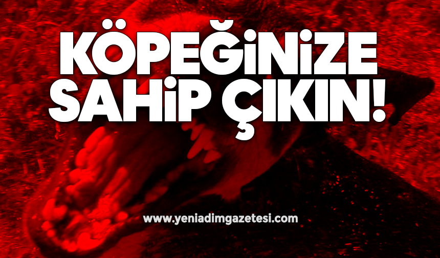 Köpeğinize sahip çıkın!