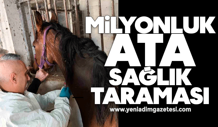 Milyonluk safkan İngiliz atına sağlık taraması