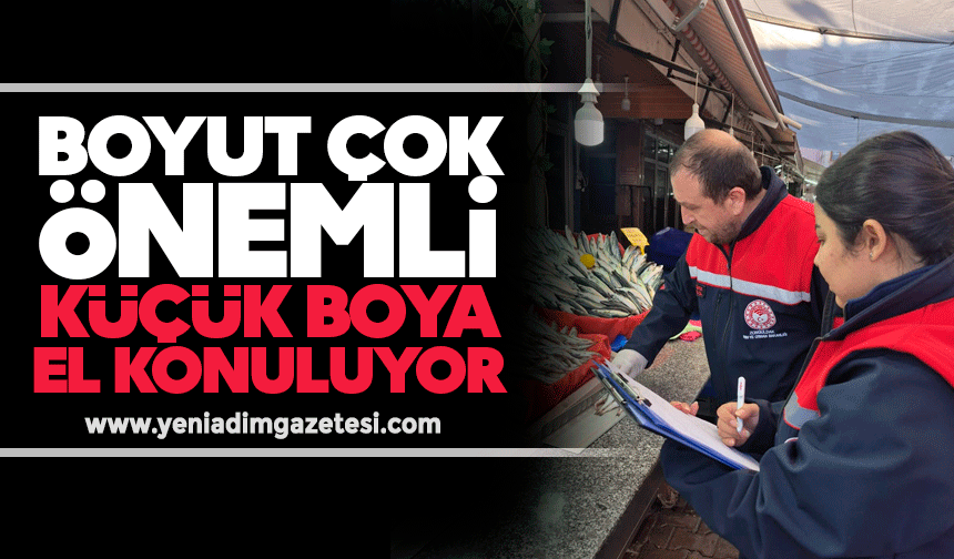 Boyut çok önemli: Küçük boya el konuluyor