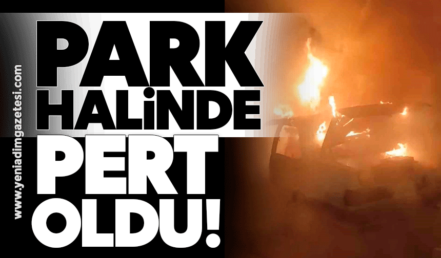 Park halindeki otomobil alev topuna döndü