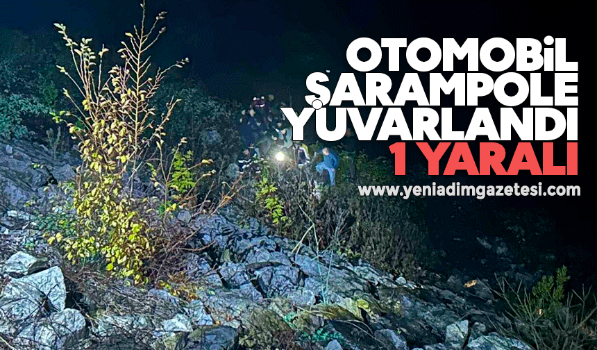 Otomobil şarampole yuvarlandı: 1 yaralı