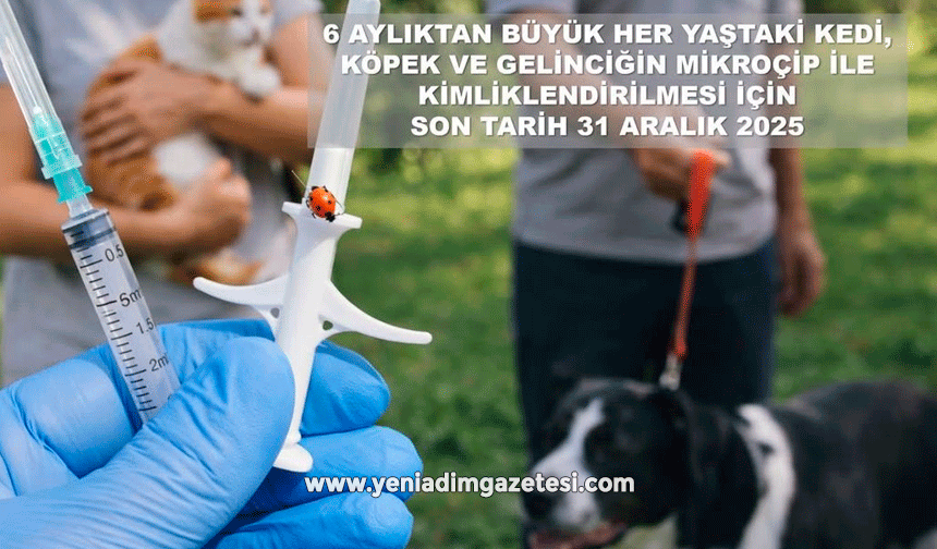 Valilikten evcil hayvan uyarısı