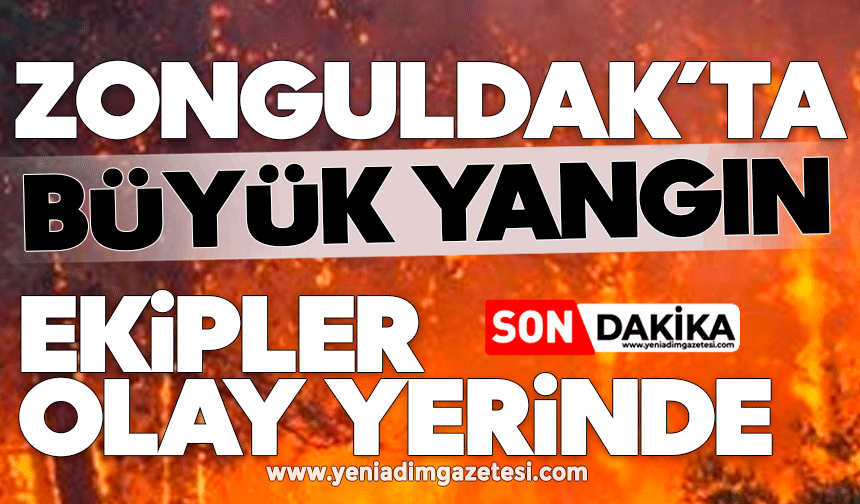 Zonguldak'ta büyük yangın! Ekipler olay yerinde