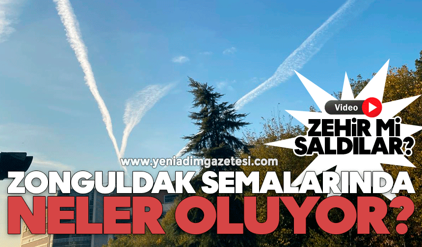 Zonguldak semalarında neler oluyor? Zehir mi saldılar?